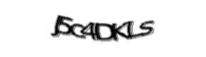 Security check image, please type the characters shown